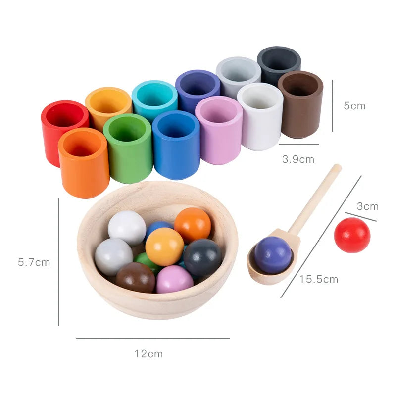 Montessori Ball & Cups